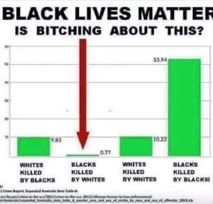 black-lives-stats.jpg